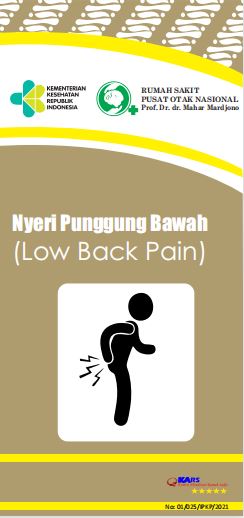 Low Back Pain